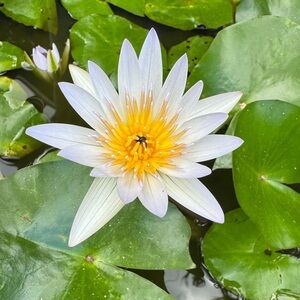 Full box of donation girl clothes size 10